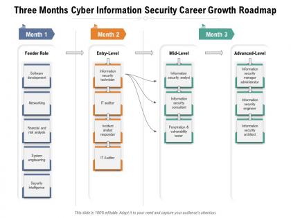 Three months cyber information security career growth roadmap