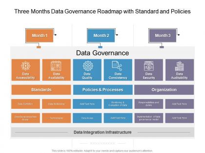 Three months data governance roadmap with standard and policies