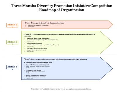 Three months diversity promotion initiative competition roadmap of organization