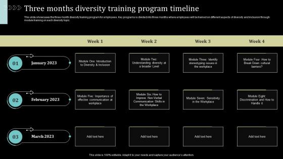 Three Months Diversity Training Program Timeline