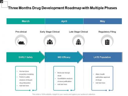 Three months drug development roadmap with multiple phases
