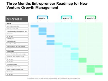 Three months entrepreneur roadmap for new venture growth management