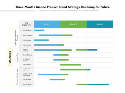 Three months mobile product brand strategy roadmap for future