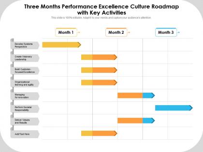Three months performance excellence culture roadmap with key activities