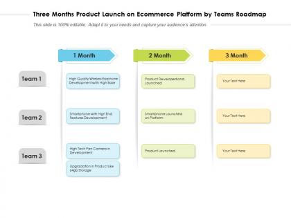 Three months product launch on ecommerce platform by teams roadmap