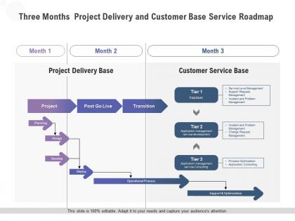Three months project delivery and customer base service roadmap
