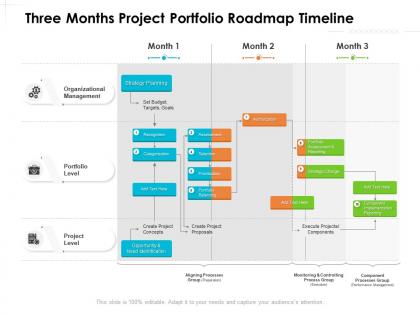Three months project portfolio roadmap timeline