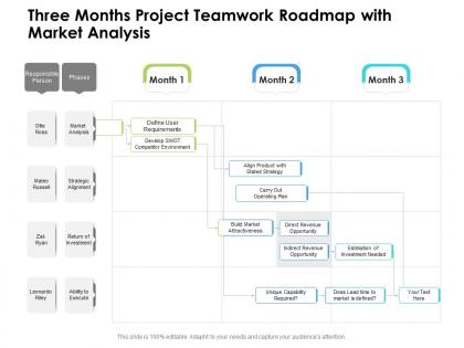 Three months project teamwork roadmap with market analysis