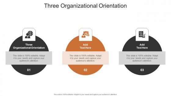 Three Organizational Orientation In Powerpoint And Google Slides Cpb
