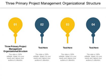 Three primary project management organizational structure ppt powerpoint presentation sample cpb