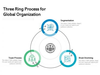 Three ring process for global organization