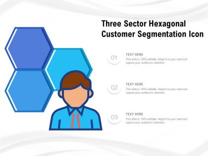 Three sector hexagonal customer segmentation icon