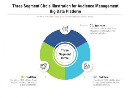 Three segment circle illustration for audience management big data platform infographic template