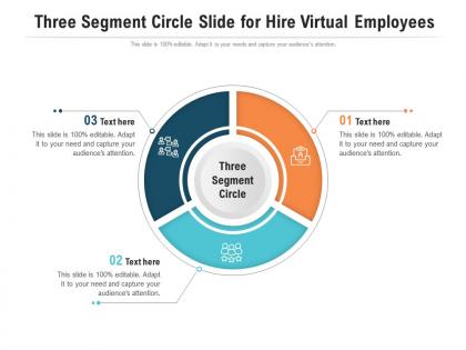 Three segment circle slide for hire virtual employees infographic template