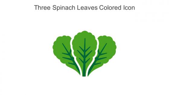 Three Spinach Leaves Colored Icon In Powerpoint Pptx Png And Editable Eps Format