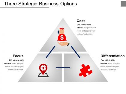 Three strategic business options ppt examples slides