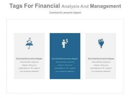 Three tags for financial analysis and management powerpoint slides