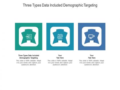 Three types data included demographic targeting ppt powerpoint presentation icon objects cpb