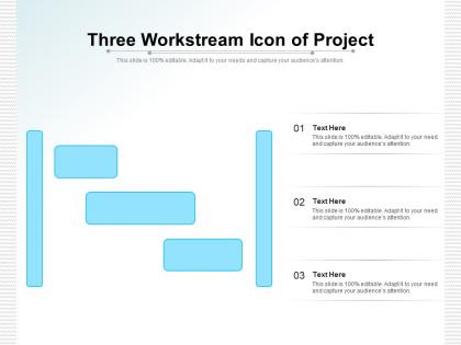 Three workstream icon of project