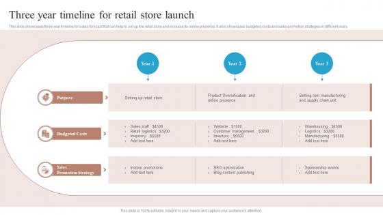 Three Year Timeline For Retail Store Launch
