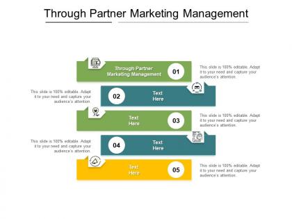 Through partner marketing management ppt powerpoint presentation model graphics tutorials cpb