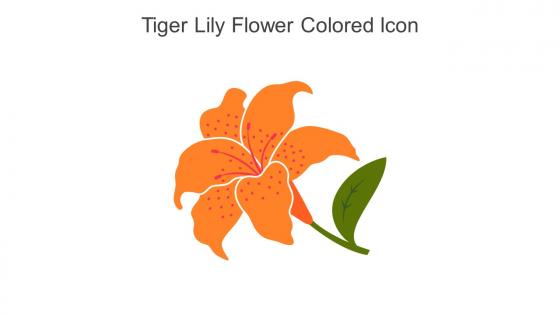 Tiger Lily Flower Colored Icon In Powerpoint Pptx Png And Editable Eps Format