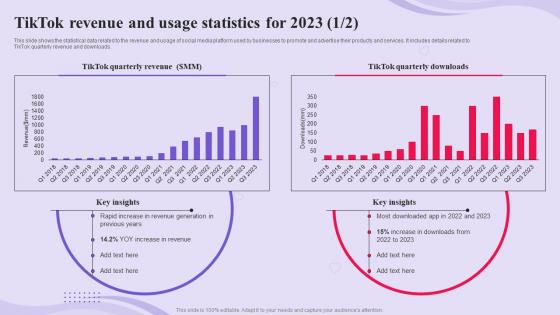 TikTok Advertising Campaign TikTok Revenue And Usage Statistics For 2023 MKT SS V