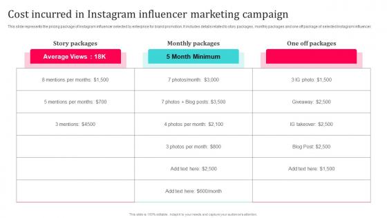 Tiktok Influencer Marketing Cost Incurred In Instagram Influencer Marketing Strategy SS V