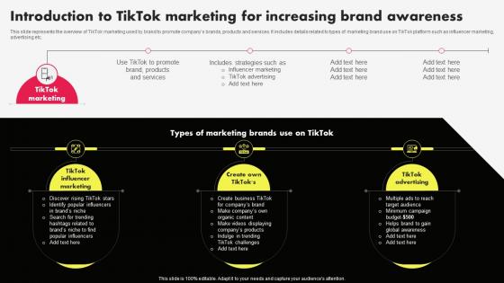 Tiktok Marketing Campaign Introduction To Tiktok Marketing For Increasing Brand MKT SS V