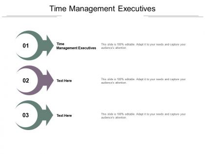 Time management executives ppt powerpoint presentation icon file formats cpb