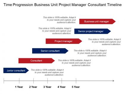 Time progression business unit project manager consultant timeline