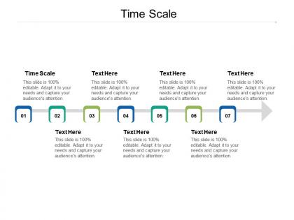 Time scale ppt powerpoint presentation layouts summary cpb