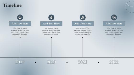 Timeline Branding Guidelines Playbook Ppt Powerpoint Presentation File Designs Download