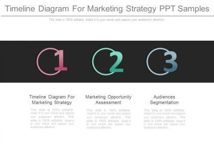 Timeline diagram for marketing strategy ppt samples