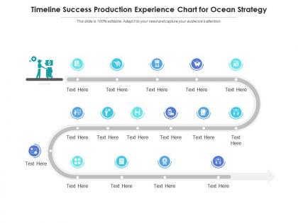 Timeline success production experience chart for ocean strategy infographic template