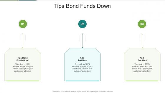 Tips Bond Funds Down In Powerpoint And Google Slides Cpb