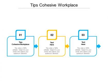 Tips cohesive workplace ppt powerpoint presentation professional picture cpb