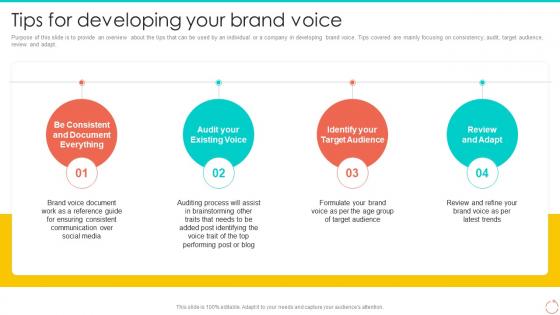 Tips For Developing Your Brand Voice Personal Branding Guide For Professionals And Enterprises