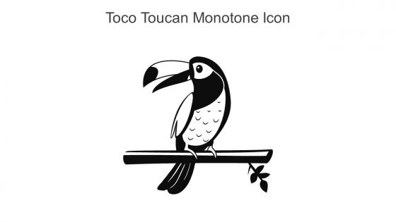 Toco Toucan Monotone Icon In Powerpoint Pptx Png And Editable Eps Format