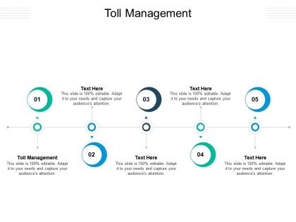 Toll management ppt powerpoint presentation infographics example introduction cpb