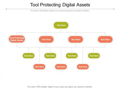 Tool protecting digital assets ppt powerpoint presentation slides ideas cpb