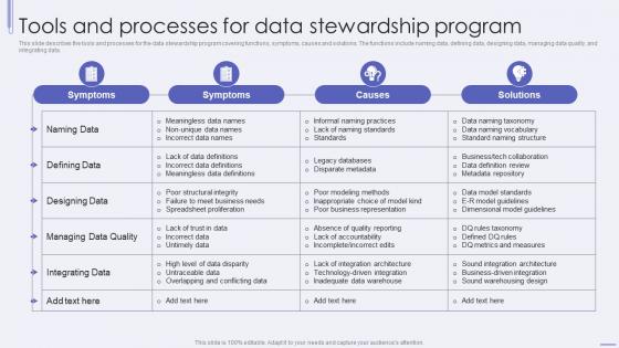 Tools And Processes For Data Stewardship Program Ppt Inspiration Introduction