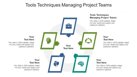 Tools techniques managing project teams ppt powerpoint presentation portfolio display cpb