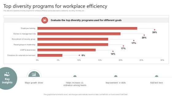 Top Diversity Programs For Workplace Efficiency