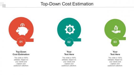 Top Down Cost Estimation Ppt Powerpoint Presentation Portfolio Graphics Pictures Cpb