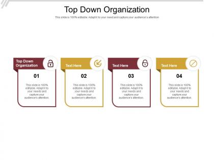 Top down organization ppt powerpoint presentation styles guidelines cpb