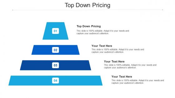Top down pricing ppt powerpoint presentation pictures outfit cpb