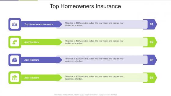 Top Homeowners Insurance In Powerpoint And Google Slides Cpb
