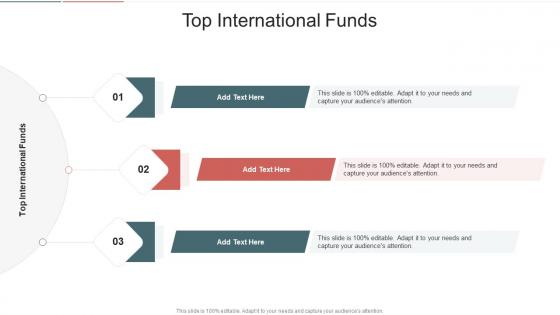 Top International Funds In Powerpoint And Google Slides Cpb