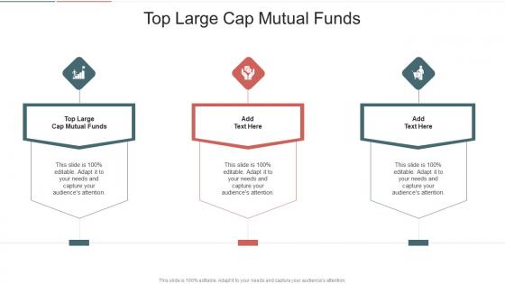 Top Large Cap Mutual Funds In Powerpoint And Google Slides Cpb